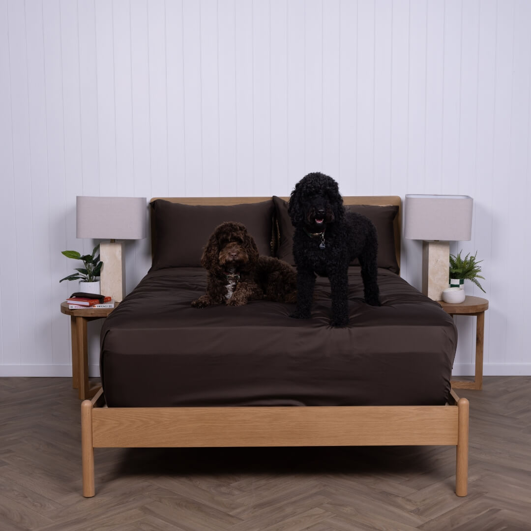 Two dogs on a bed with wooden frame and brown sheets in a room with white walls and wooden flooring.