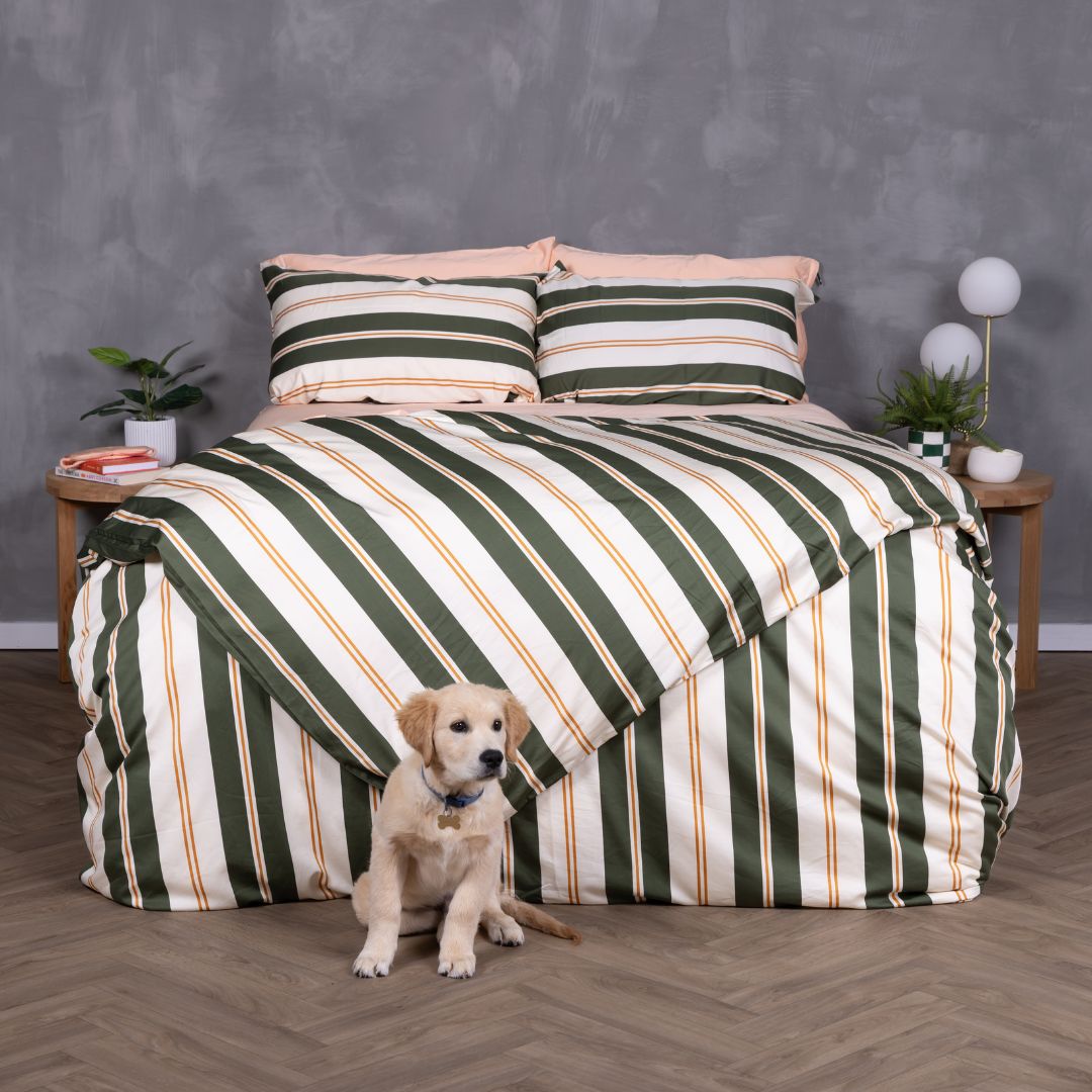 Olive striped Norfolk bedding set on bed with puppy sitting in front.